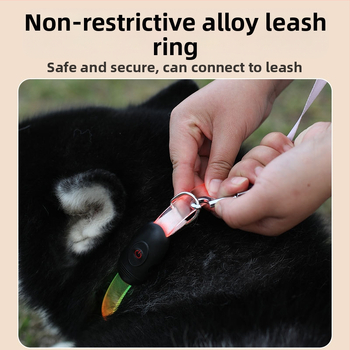 Έτοιμο από τον κατασκευαστή, επίπεδη λωρίδα πλήρους σώματος με φωτεινό LED κολάρο νυχτερινής προειδοποίησης για σκύλους, αντι-χαμένο κολάρο λαιμού, που μπορεί να κοπεί σε λουρί σκύλου Flash