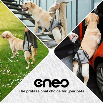 Βοηθητικός ιμάντας οπίσθιου ποδιού σκύλου για διασυνοριακές εξωτερικές χρήσεις, ιμάντας οπίσθιου ποδιού σκύλου, ιμάντας ισχίου σκύλου χονδρικής