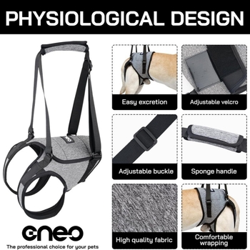 Βοηθητικός ιμάντας οπίσθιου ποδιού σκύλου για διασυνοριακές εξωτερικές χρήσεις, ιμάντας οπίσθιου ποδιού σκύλου, ιμάντας ισχίου σκύλου χονδρικής