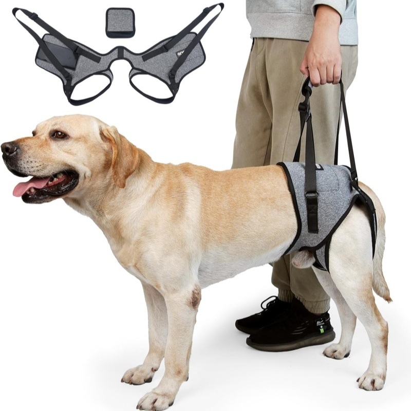 Határokon átnyúló kültéri kisállat kutya hátsó láb segédheveder kutya hátsó láb heveder kutya csípőrögzítő heveder nagykereskedelem