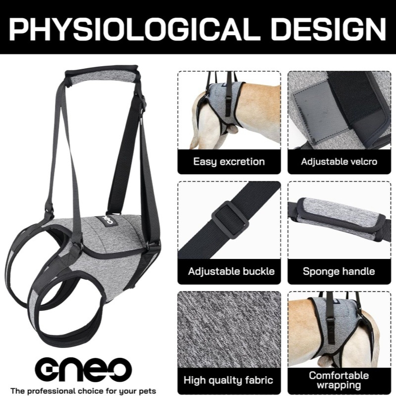 Határokon átnyúló kültéri kisállat kutya hátsó láb segédheveder kutya hátsó láb heveder kutya csípőrögzítő heveder nagykereskedelem