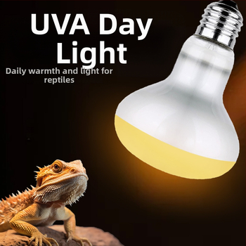 Roniv lemmikloom UVA soojenduslamp roomaja päevalamp sisalik lakklõvi kilpkonn päikesevalgus tagalamp papagoi rutiin kana soe isolatsioonilamp