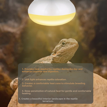 Λάμπα θέρμανσης UVA για κατοικίδια αναρρίχησης, λάμπα ημέρας για ερπετά, σαύρα, λιοντάρι με χαίτη, χελώνα, ηλιακό φως, παπαγάλος, κοτόπουλο ρουτίνης, θερμή μόνωση