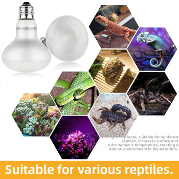 Λάμπα θέρμανσης UVA για κατοικίδια αναρρίχησης, λάμπα ημέρας για ερπετά, σαύρα, λιοντάρι με χαίτη, χελώνα, ηλιακό φως, παπαγάλος, κοτόπουλο ρουτίνης, θερμή μόνωση