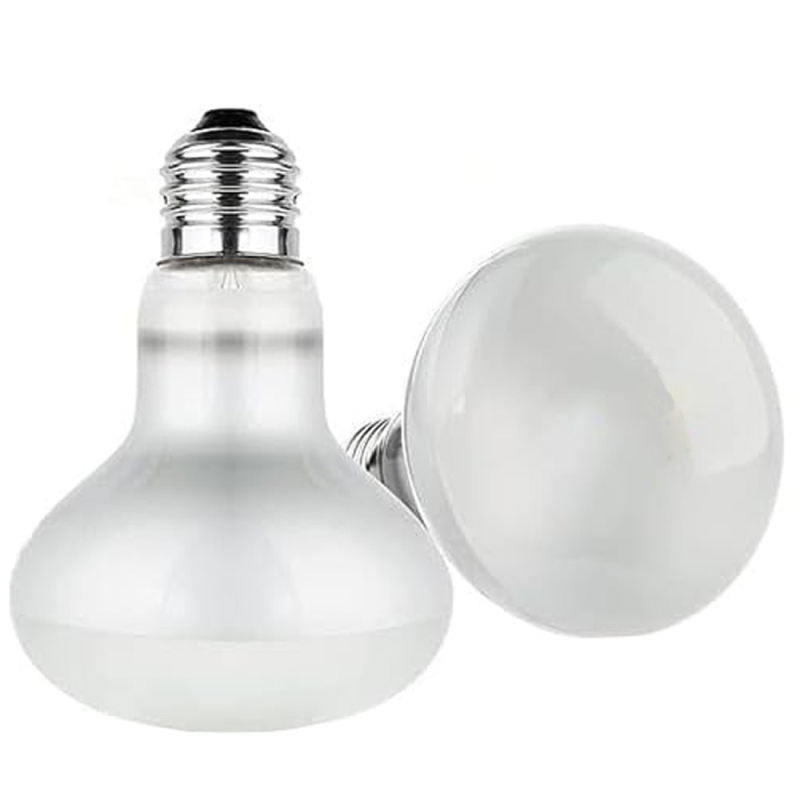 Roniv lemmikloom UVA soojenduslamp roomaja päevalamp sisalik lakklõvi kilpkonn päikesevalgus tagalamp papagoi rutiin kana soe isolatsioonilamp