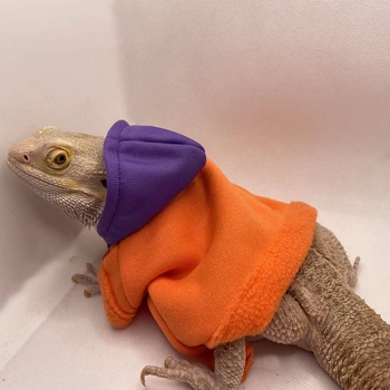 Дрехи за гущери Amazon Lizard Катерене Домашни любимци Излизане Трансформиращи се Дрехи за ходене Гущер Дрехи за малки домашни любимци Домашни любимци