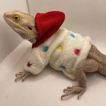 Дрехи за гущери Amazon Lizard Катерене Домашни любимци Излизане Трансформиращи се Дрехи за ходене Гущер Дрехи за малки домашни любимци Домашни любимци