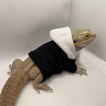 Дрехи за гущери Amazon Lizard Катерене Домашни любимци Излизане Трансформиращи се Дрехи за ходене Гущер Дрехи за малки домашни любимци Домашни любимци