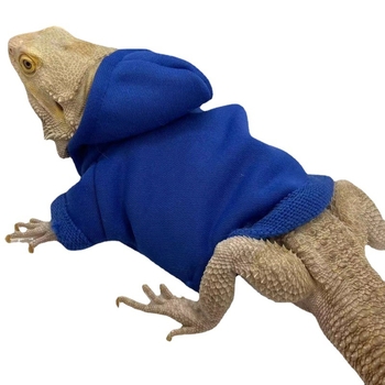 Дрехи за гущери Amazon Lizard Катерене Домашни любимци Излизане Трансформиращи се Дрехи за ходене Гущер Дрехи за малки домашни любимци Домашни любимци