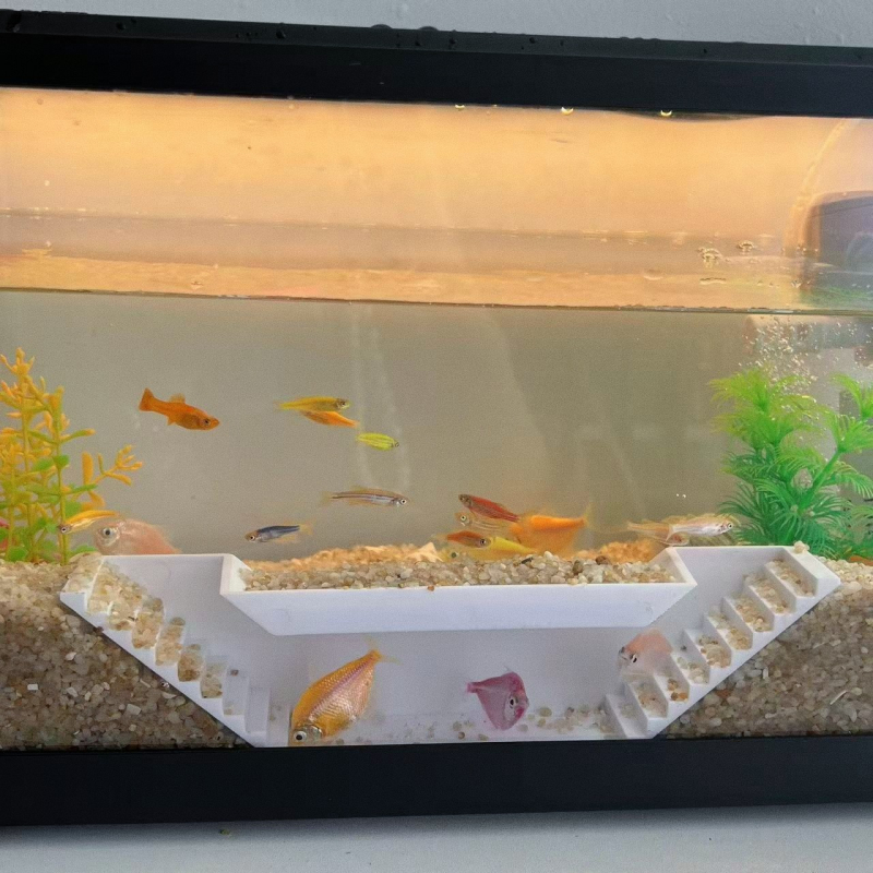 Uus kahe auguga akvaarium kruusakalade tunnel, kalade peitmiseks mõeldud kalakoobas, roomajate peitmiseks mõeldud kruusakujuline dekoratiivne tunnel