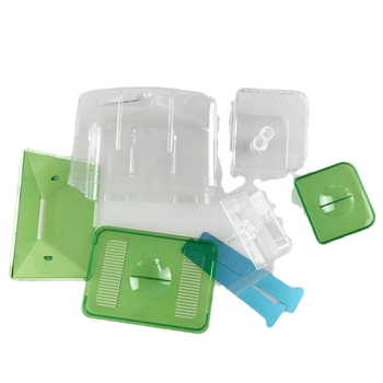 Žuvų pristatymo kambarys „Peacock Douyu“ žuvų daigų veisimo įrenginys, akvariumo vidinė izoliacija, tinklo apsauga, mažų žuvų izoliacijos dėžutė