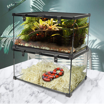 Δοχείο ταΐστρας για ερπετά, τροπικό δάσος, αποθήκη, χάμστερ, αναρρίχηση, κατοικίδια, χελώνα, σαύρα, κερασφόρος βάτραχος, αράχνη, οικολογικό ενυδρείο