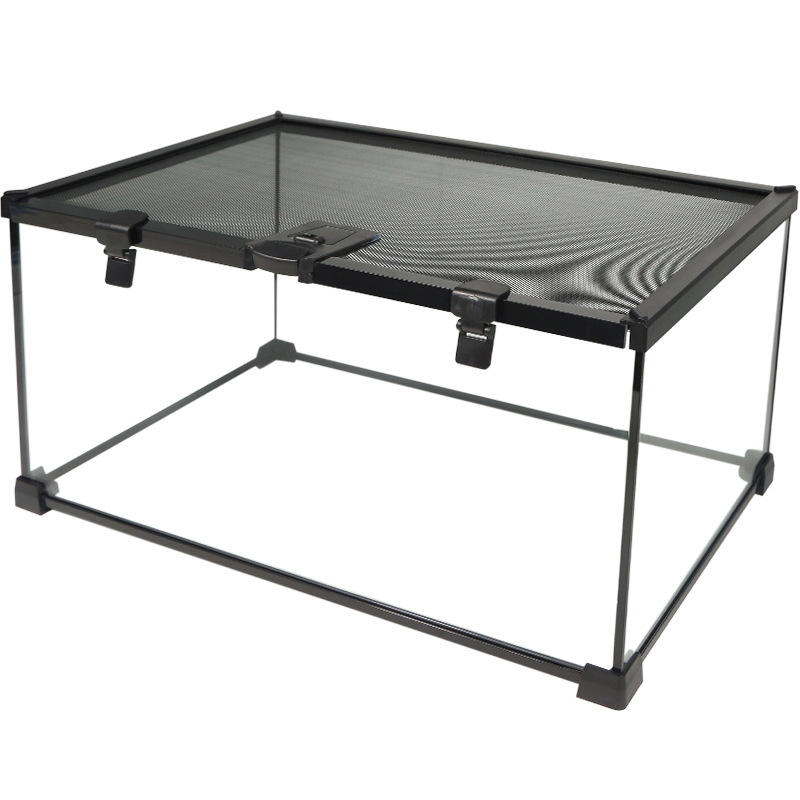 Roomajate vihmametsade paak, söötmiskast, ladu, hamster, roniv lemmikloom, kilpkonn, shougong, sisalik, sarvedega konn, ämblik, ökoloogiline paak