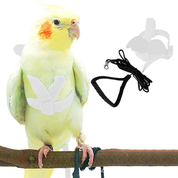 Papūgos petnešos Papūgos pavadėlis Reguliuojamas skraidymo dresūros diržas, atsparus įkandimams, diržas