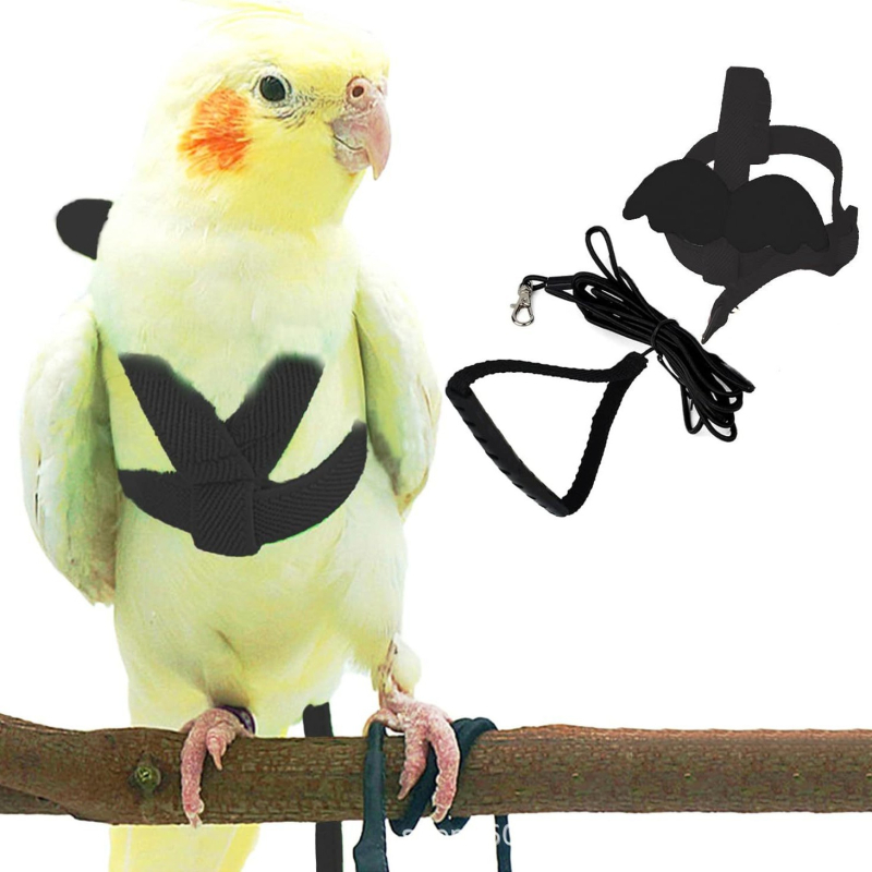 Каишка за папагал Parrot Harness, регулируем колан за обучение по летене, устойчив на ухапване дизайн