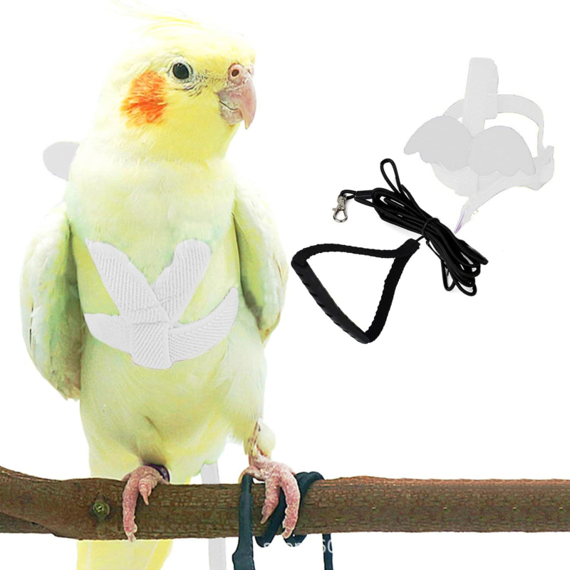 Papūgos petnešos Papūgos pavadėlis Reguliuojamas skraidymo dresūros diržas, atsparus įkandimams, diržas