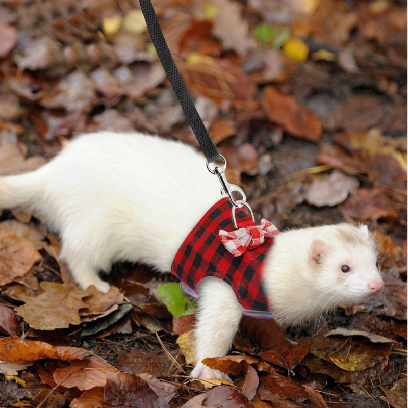 Väikese lemmiklooma veojõuvöö hamstri veojõuvöö vest veojõuvöö õues kasutamiseks mõeldud kaotsiminekuvastane veoköis kellukesega
