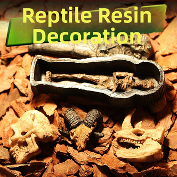 Mini kolju kitse kolju muumia simulatsioon väikese kolju roomikämbliku söötmiskasti maastikukaunistus