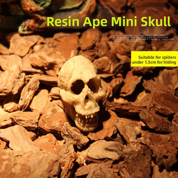 Mini kolju kitse kolju muumia simulatsioon väikese kolju roomikämbliku söötmiskasti maastikukaunistus