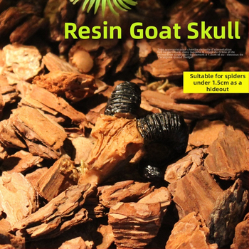 Mini kolju kitse kolju muumia simulatsioon väikese kolju roomikämbliku söötmiskasti maastikukaunistus