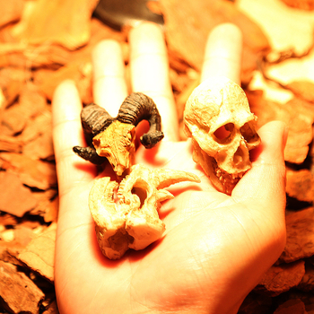 Mini kolju kitse kolju muumia simulatsioon väikese kolju roomikämbliku söötmiskasti maastikukaunistus