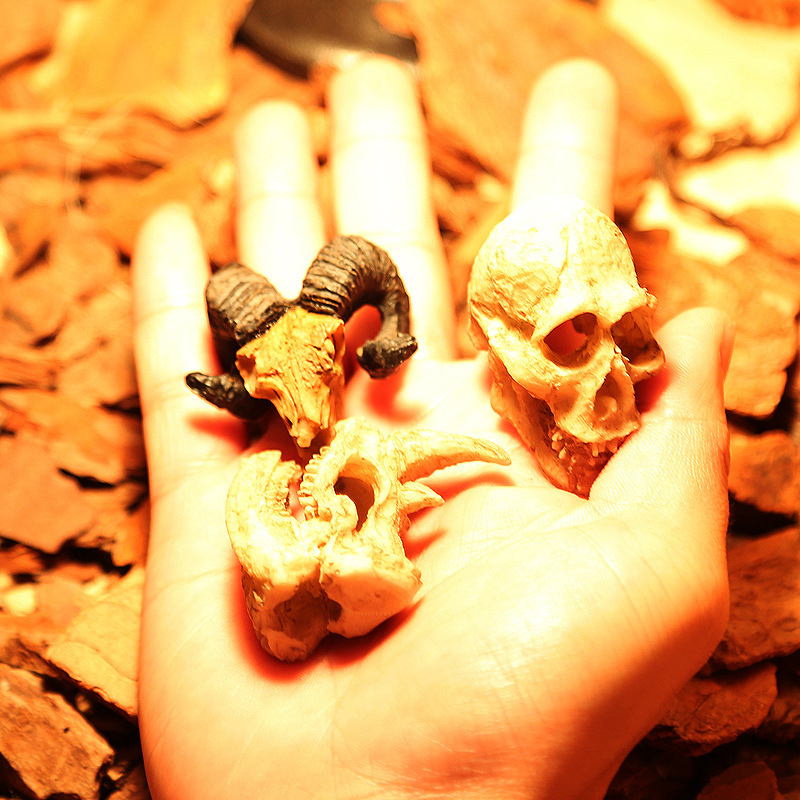 Mini kolju kitse kolju muumia simulatsioon väikese kolju roomikämbliku söötmiskasti maastikukaunistus