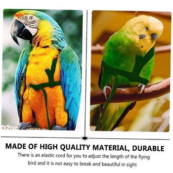 „Amazon“ tarpvalstybinis karšto pardavimo papūgos skraidymo virvė vaikščiojimo paukščių dirželis traukos virvė vaikščiojimo virvė naminių paukščių reikmenys paukščių virvė