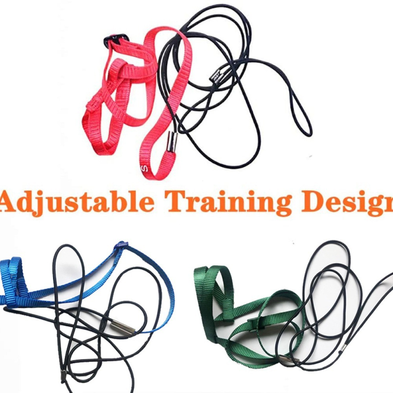 „Amazon“ tarpvalstybinis karšto pardavimo papūgos skraidymo virvė vaikščiojimo paukščių dirželis traukos virvė vaikščiojimo virvė naminių paukščių reikmenys paukščių virvė