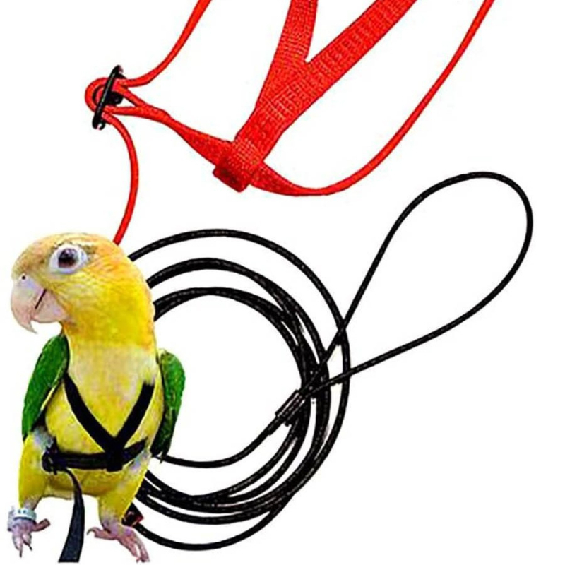 „Amazon“ tarpvalstybinis karšto pardavimo papūgos skraidymo virvė vaikščiojimo paukščių dirželis traukos virvė vaikščiojimo virvė naminių paukščių reikmenys paukščių virvė