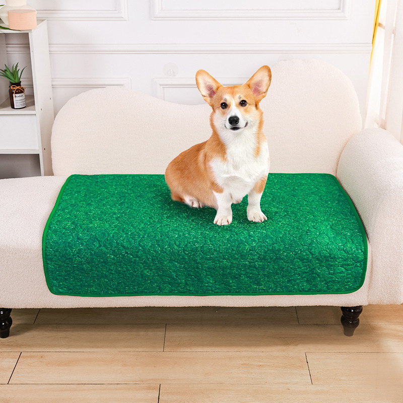 Lemmikloomade mähkmepadi Pestav koeramähe Libisemiskindel Imenduv Lihtsalt Kuivav Korduvkasutatav Lemmikloomade mähkmepadi Piiriülene Uus Toode
