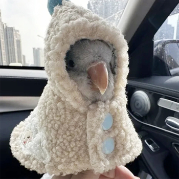 Papūgos apsiaustas, medvilninė lėlė, mieli drabužiai, tigro odos juodas fenikso apsiaustas, ėriuko plaukų gobtuvas, pilna platforma, tiesioginis pristatymas