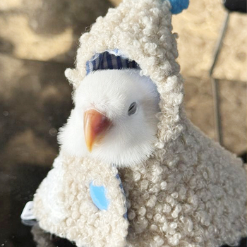 Papūgos apsiaustas, medvilninė lėlė, mieli drabužiai, tigro odos juodas fenikso apsiaustas, ėriuko plaukų gobtuvas, pilna platforma, tiesioginis pristatymas