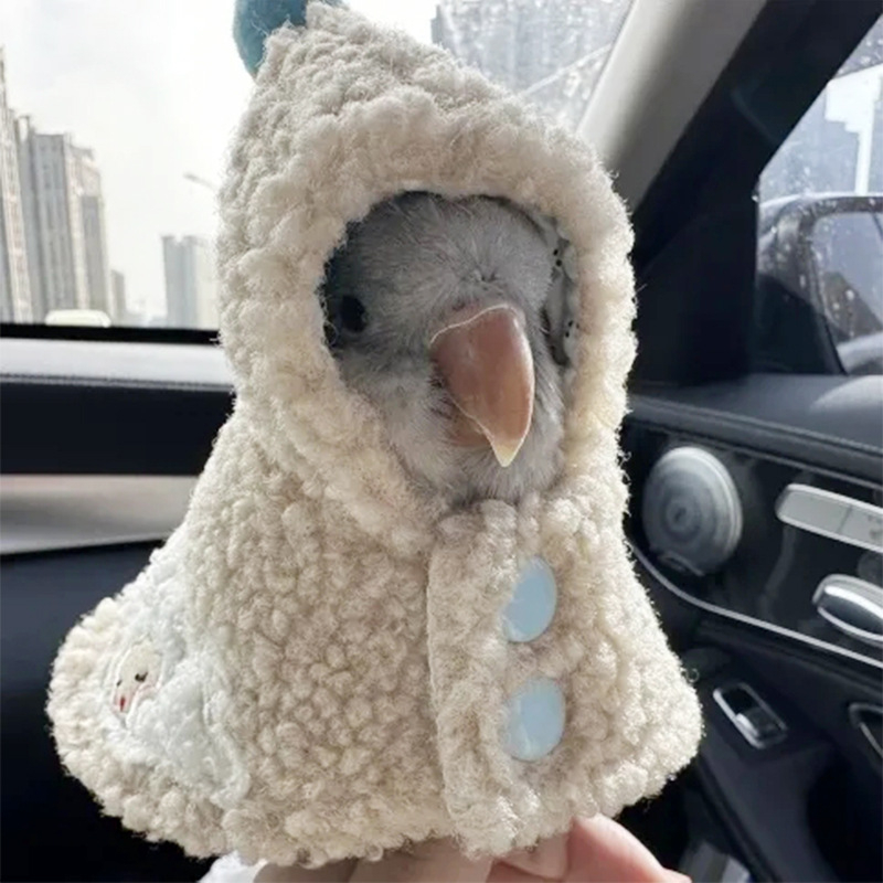 Papūgos apsiaustas, medvilninė lėlė, mieli drabužiai, tigro odos juodas fenikso apsiaustas, ėriuko plaukų gobtuvas, pilna platforma, tiesioginis pristatymas