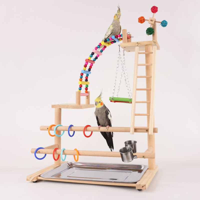 Papagoi aluse luksusversioon Papagoi mängukiik Redelirõngas Ronimisredel Rippsild Lindude ronimisraami tarvikud Linnupukk