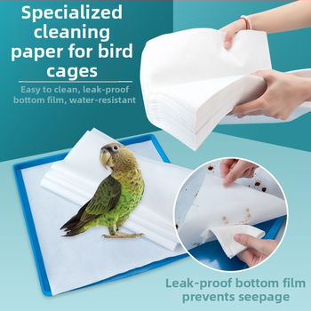 XMZZ72 Καρέκλα υπολογιστή σπιτιού Καρέκλα ηλεκτρονικών σπορ Πλάτη καθιστική Μη κουρασμένη καρέκλα καναπέ φοιτητή Καρέκλα γραφείου Anchor Live Rise