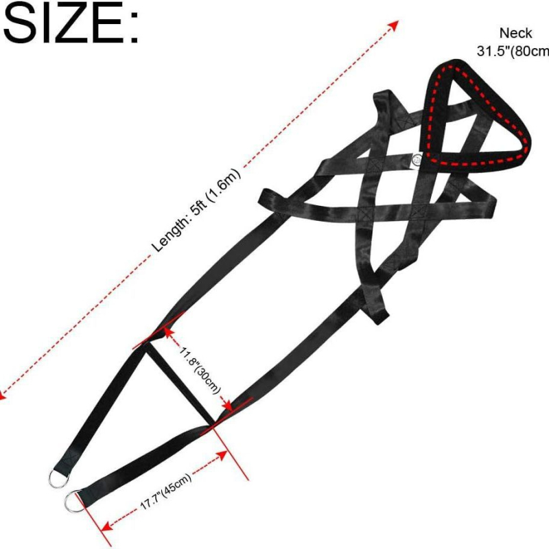 Amazoni kuummüügis olev koerte raskuste tõstmise treeningrihm koerte kelgutamiseks mõeldud veojõurihm lemmikloomade treenimise lihasrihm
