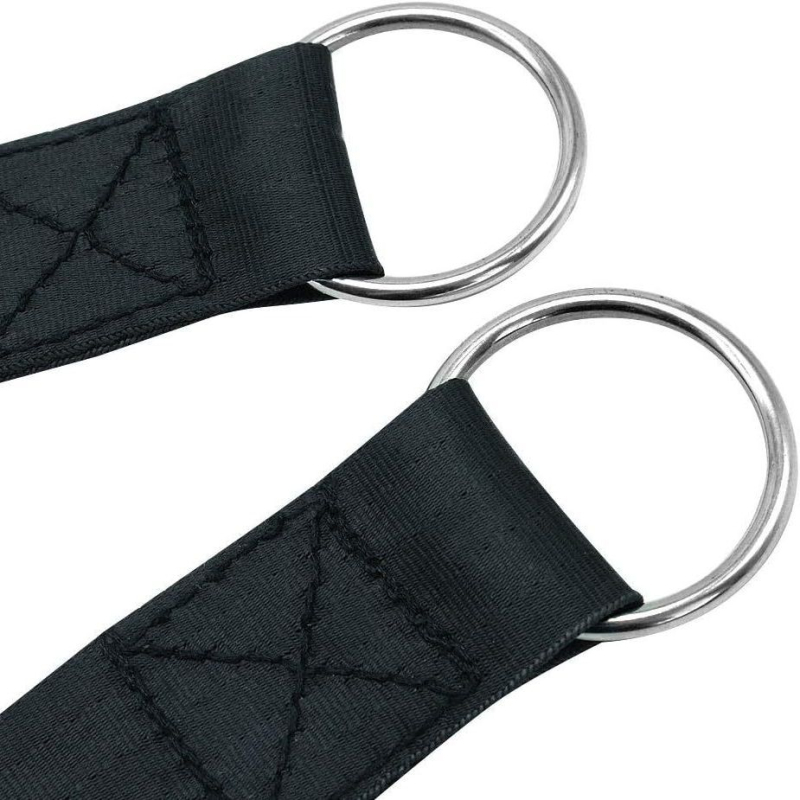 Amazoni kuummüügis olev koerte raskuste tõstmise treeningrihm koerte kelgutamiseks mõeldud veojõurihm lemmikloomade treenimise lihasrihm