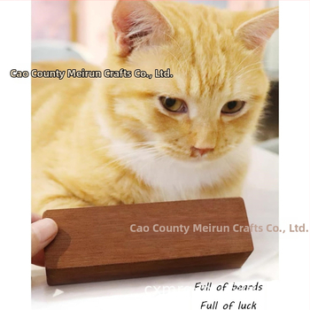 Κουτί αποθήκευσης μαλλιών για κατοικίδια με γενειάδα και καρυδιά, με μαγνητικό καπάκι, αναμνηστικό κουτί για μωρά