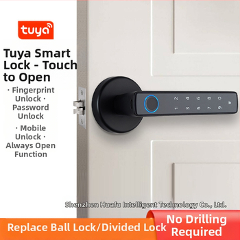 Tarpvalstybinė grafiti išmanioji rankenos spyna namams, vidaus durims, elektroninė slaptažodžio spyna, biuro apsaugos nuo vagystės pirštų atspaudų durų spyna