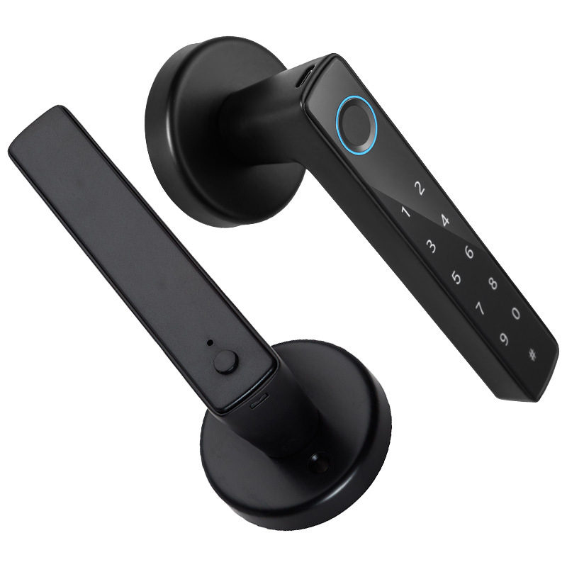 Tarpvalstybinė grafiti išmanioji rankenos spyna namams, vidaus durims, elektroninė slaptažodžio spyna, biuro apsaugos nuo vagystės pirštų atspaudų durų spyna