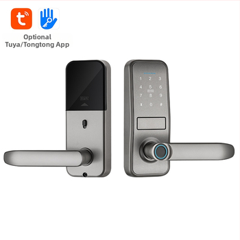 Istabas durvju pirkstu nospiedumu slēdzene ar vienu mēli, korpusa roktura slēdzene, grafiti tālvadības kombinētā slēdzene, iekštelpu durvju piekļuves elektroniskā viedā slēdzene