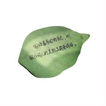 Χαριτωμένο δημιουργικό μικρό σημειωματάριο με φρέσκα φύλλα, αυτοκόλλητο Post-it με προσομοίωση φύλλου, αυτοκόλλητο N Times, χονδρικής προσαρμογής