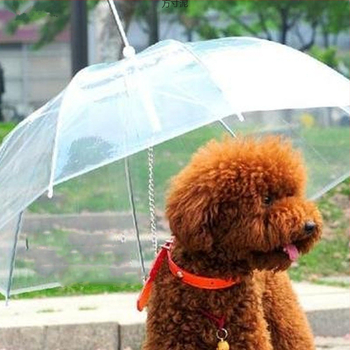 Διαφανής ομπρέλα για σκύλους, ομπρέλα για κατοικίδια, αρκουδάκι, μικρό πόντσο για κατοικίδια, προμήθειες για βροχερή μέρα, βόλτα με σκύλο, αλυσίδα εφοδιασμού