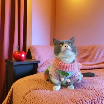 Котки Есен и Зима Нова Сладка Череша Жилетка Рокля Кученце Малко и Средно Биксия Йоркшир Marzis Градиент