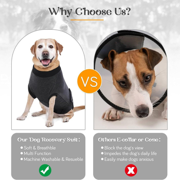 Διασυνοριακή Αποστείρωση Σκύλων Ρούχα Παντελόνια Μετεγχειρητικά Είδη Ρούχων Teddy Bitter Panda Γάτα Golden Retriever Corgi