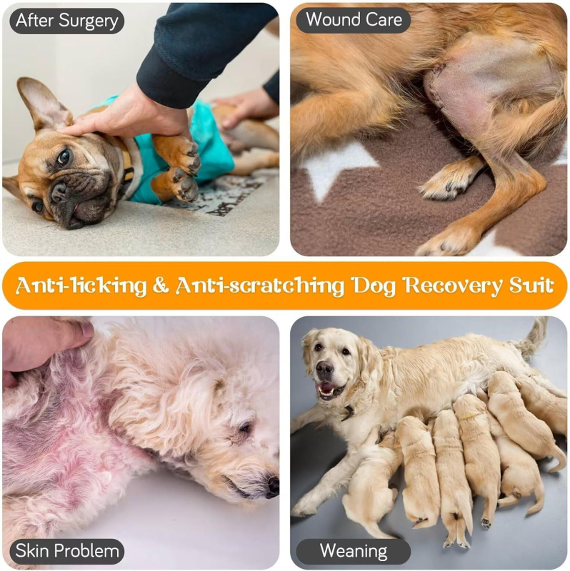 Διασυνοριακή Αποστείρωση Σκύλων Ρούχα Παντελόνια Μετεγχειρητικά Είδη Ρούχων Teddy Bitter Panda Γάτα Golden Retriever Corgi