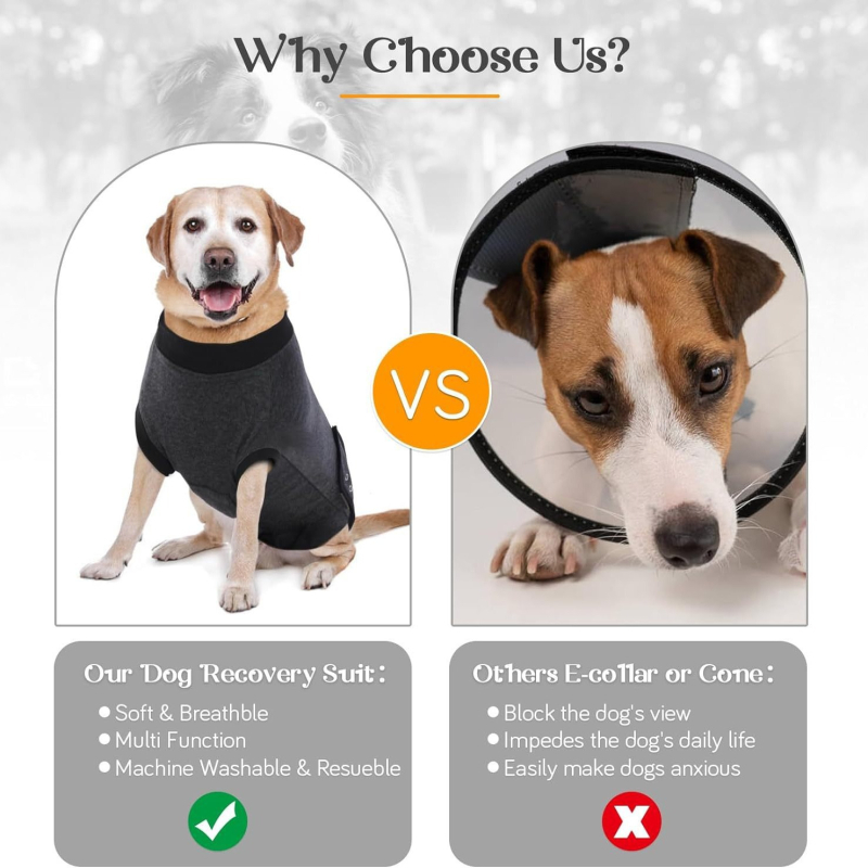 Διασυνοριακή Αποστείρωση Σκύλων Ρούχα Παντελόνια Μετεγχειρητικά Είδη Ρούχων Teddy Bitter Panda Γάτα Golden Retriever Corgi