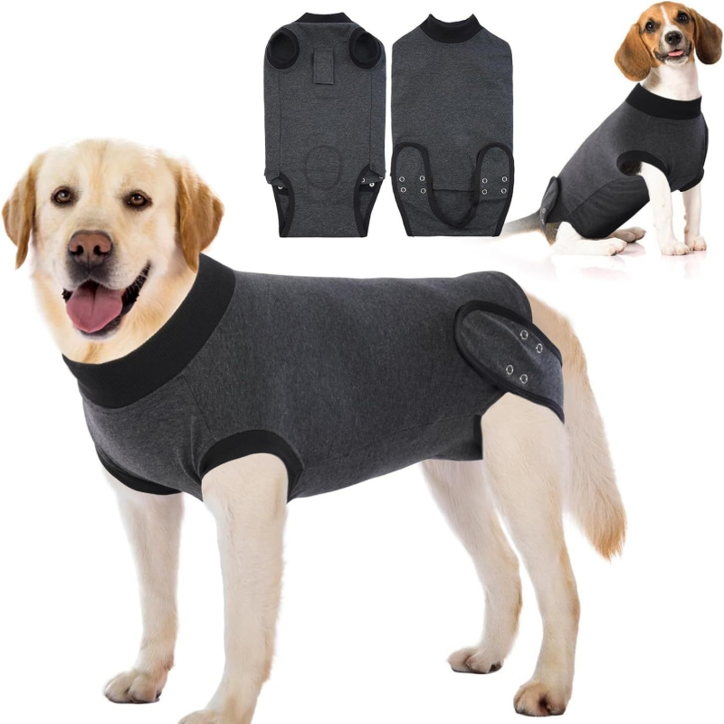 Διασυνοριακή Αποστείρωση Σκύλων Ρούχα Παντελόνια Μετεγχειρητικά Είδη Ρούχων Teddy Bitter Panda Γάτα Golden Retriever Corgi