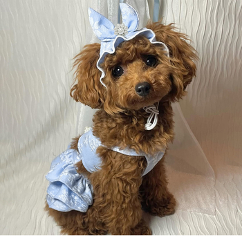 Ρούχα για σκύλους Άνοιξη και καλοκαίρι Γάτα Πριγκίπισσα Φούστα με κουκκίδες Πασχαλινά γενέθλια Μικρό σκυλί Αρκουδάκι Κατοικίδιο