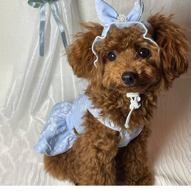 Kutyaruhák Tavaszi és nyári macska hercegnő pöttyös masnis szoknya húsvéti születésnapi kiskutya plüssállat